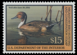 Scan of RW68 2001 Duck Stamp. MNH F-VF
