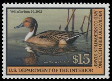 Scan of RW68 2001 Duck Stamp. MNH VF