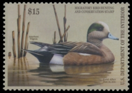 Scan of RW77 2010 Duck Stamp. MNH