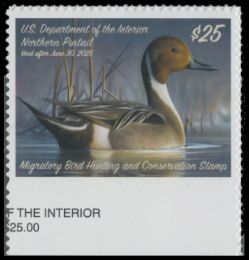 Scan of RW91 2024 Duck Stamp