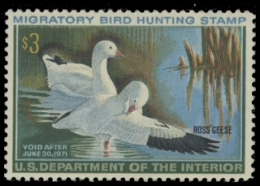 Scan of RW37 1970 Duck Stamp 