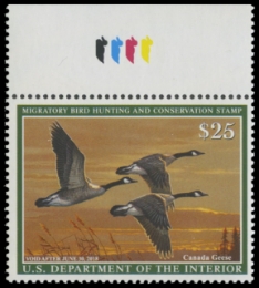 Scan of RW84 2017 Duck Stamp 