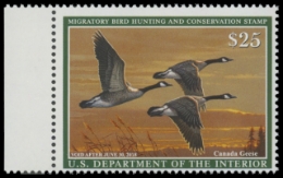 Scan of RW84 2017 Duck Stamp 