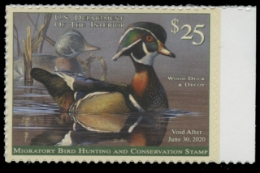 Scan of RW86 2019 Duck Stamp 