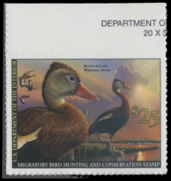 Scan of RW87 2020 Duck Stamp 