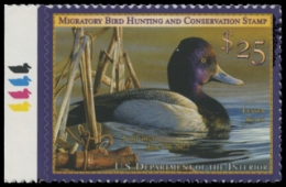 Scan of RW88 2021 Duck Stamp 