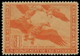 Scan of RW11 1944 Duck Stamp 