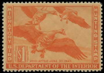 Scan of RW11 1944 Duck Stamp 