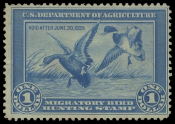 Scan of RW1 1934 Duck Stamp 