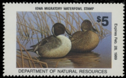 Scan of 1988 Iowa Duck Stamp