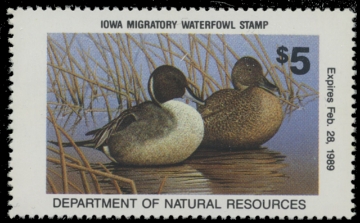 Scan of 1988 Iowa Duck Stamp
