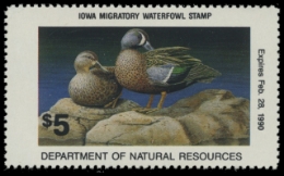 Scan of 1989 Iowa Duck Stamp