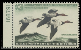 Scan of RW32 1965 Duck Stamp 