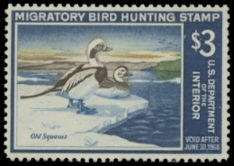 Scan of RW34 1967 Duck Stamp 