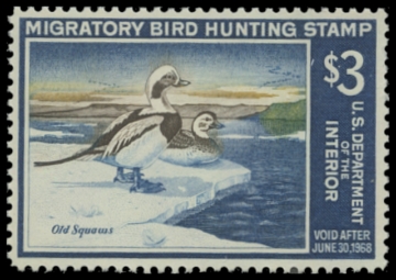 Scan of RW34 1967 Duck Stamp 
