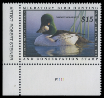 Scan of RW80 2013 Duck Stamp 