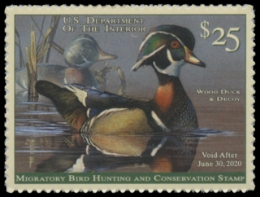 Scan of RW86 2019 Duck Stamp 