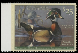 Scan of RW86 2019 Duck Stamp 