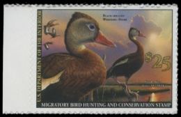 Scan of RW87 2020 Duck Stamp 