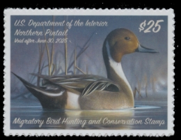 Scan of RW91 2024 Duck Stamp 