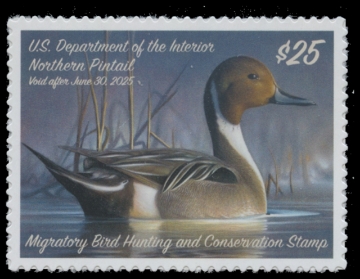 Scan of RW91 2024 Duck Stamp 