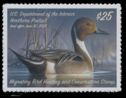 Scan of RW91 2024 Duck Stamp 