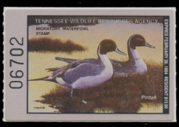 Scan of 1993 Tennessee Duck Stamp