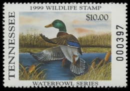 Scan of 1999 Tennessee Duck Stamp