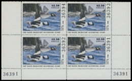 Scan of 1987 Maine Duck Stamps. Plate Block of 4