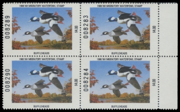 Scan of 1988 New Hampshire Duck Stamps. Block of 4