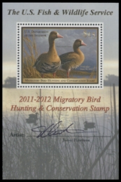 Scan of RW78B 2011 Duck Stamp 