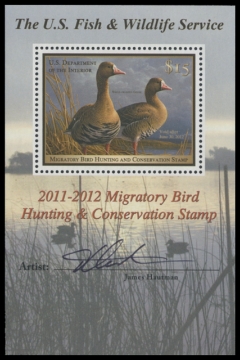 Scan of RW78B 2011 Duck Stamp 
