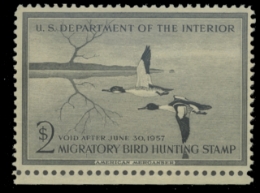 Scan of RW23 1956 Duck Stamp, Unsigned 