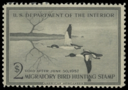 Scan of RW23 1956 Duck Stamp 
