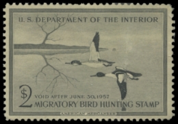 Scan of RW23 1956 Duck Stamp, MLH 