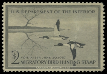 Scan of RW23 1956 Duck Stamp, MLH 