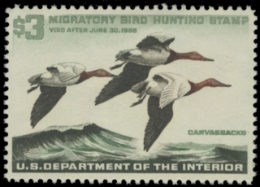 Scan of RW32 1963 Duck Stamp 