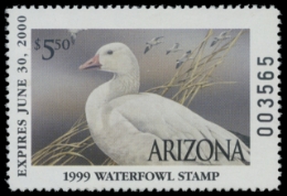 Scan of 1999 Arizona Duck Stamp