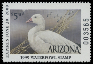Scan of 1999 Arizona Duck Stamp