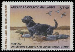 Scan of 1996 Arkansas Duck Stamp