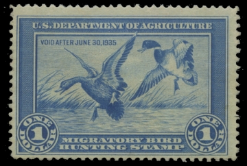 Scan of RW1 1934 Duck Stamp