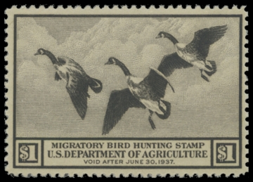 Scan of RW3 1936 Duck Stamp 