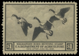 Scan of RW3 1936 Duck Stamp 