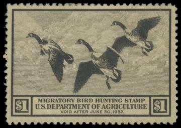 Scan of RW3 1936 Duck Stamp 