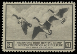 Scan of RW3 1936 Duck Stamp 