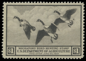 Scan of RW3 1936 Duck Stamp 