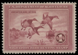 Scan of RW2 1935 Duck Stamp 