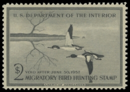 Scan of RW23 1956 Duck Stamp 