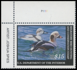 Scan of RW76 2009 Duck Stamp 