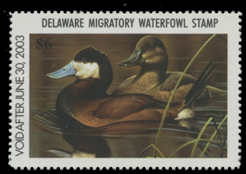 Scan of 2002 Delaware Duck Stamp